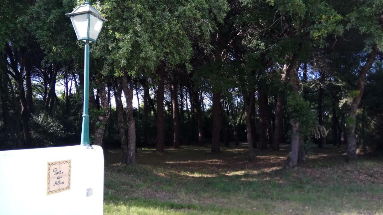 Enjoy The Best Of Countryside Leiria Exterior foto