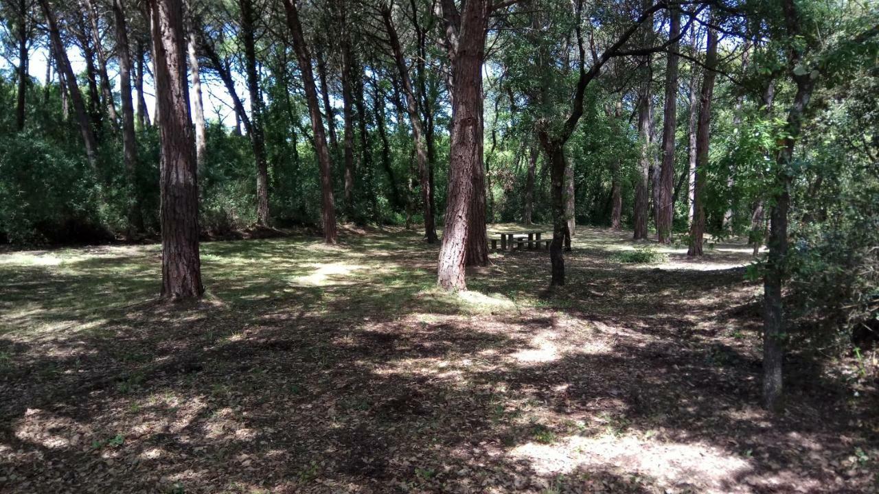 Enjoy The Best Of Countryside Leiria Exterior foto