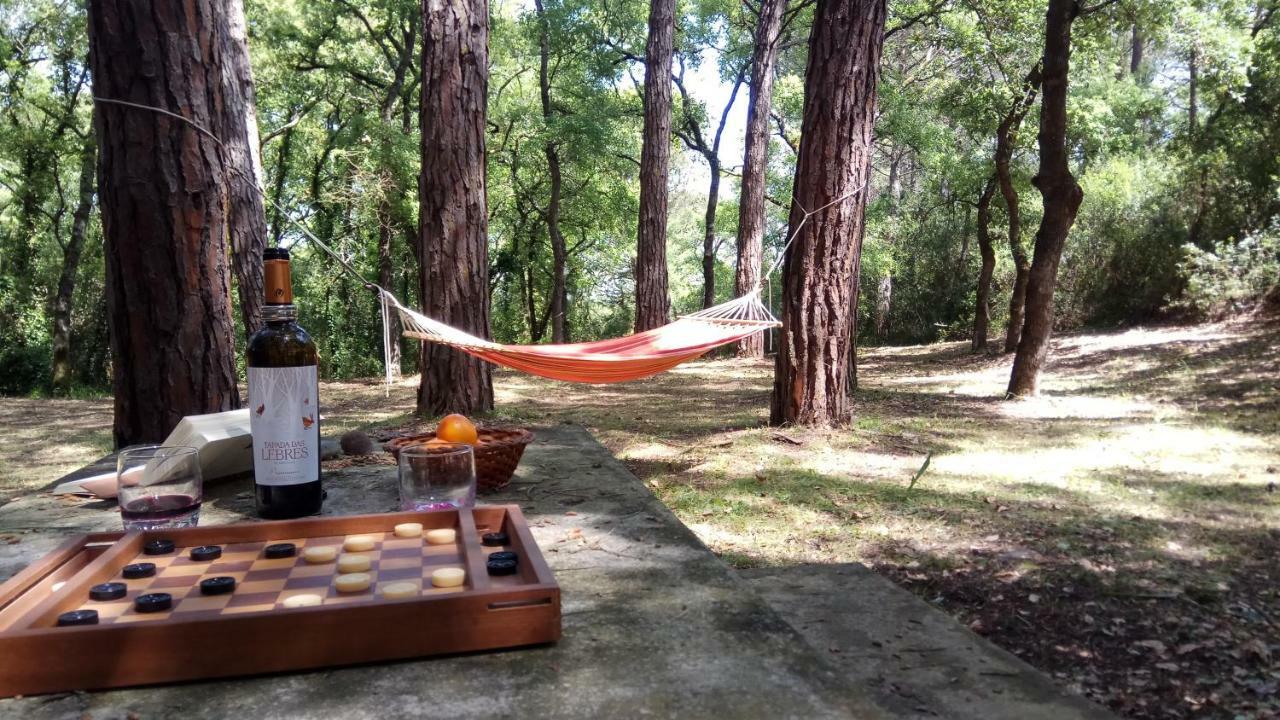 Enjoy The Best Of Countryside Leiria Exterior foto