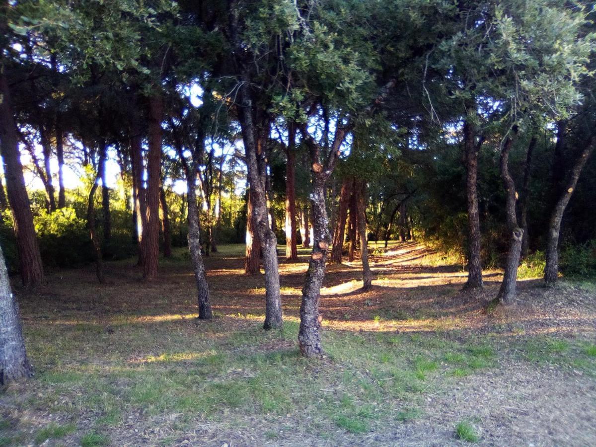 Enjoy The Best Of Countryside Leiria Exterior foto